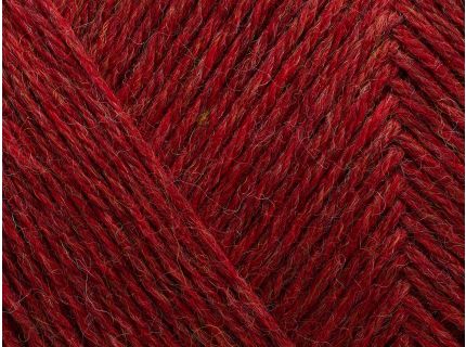 Chrysanthemum (melange)